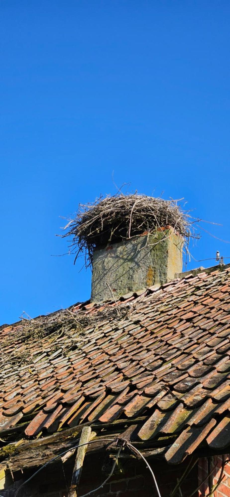 Villa Oliwkowe Jerzykowo -Klimatyzacja Radzieje Esterno foto